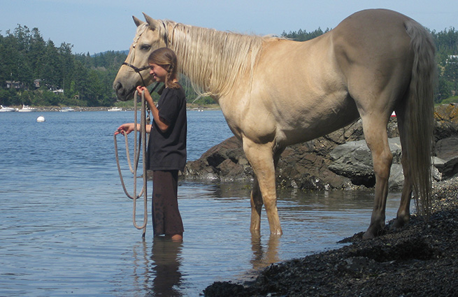 Gorgeous light-colored Palomino horse with a young girl both standing in the water at the shore. 