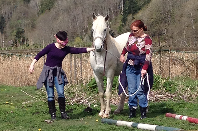 Tulalip Cares Recipient for 2015, Horses Healing Hero's.