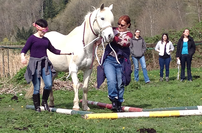 Tulalip Cares Recipient for 2015, Horses Healing Hero's.