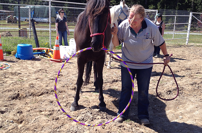 Tulalip Cares Recipient for 2015, Horses Healing Hero's.